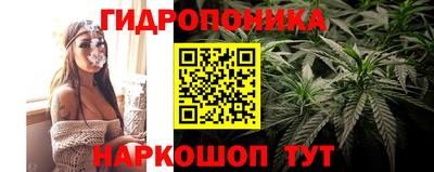 эйфоретик Мариинск