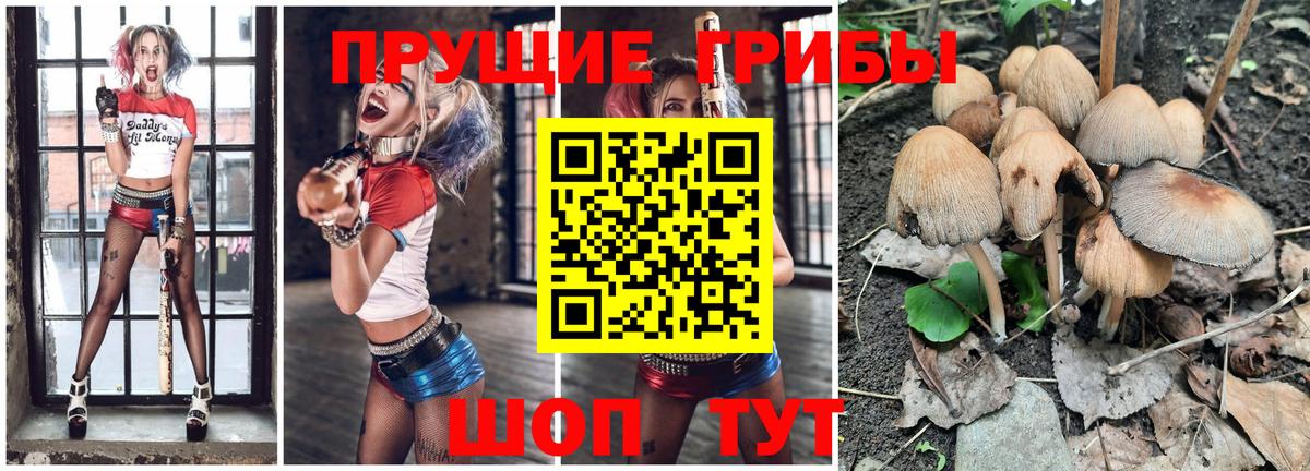 Сосновоборск  Галлюциногенные грибы MAGIC MUSHROOMS  Вход с VPN 