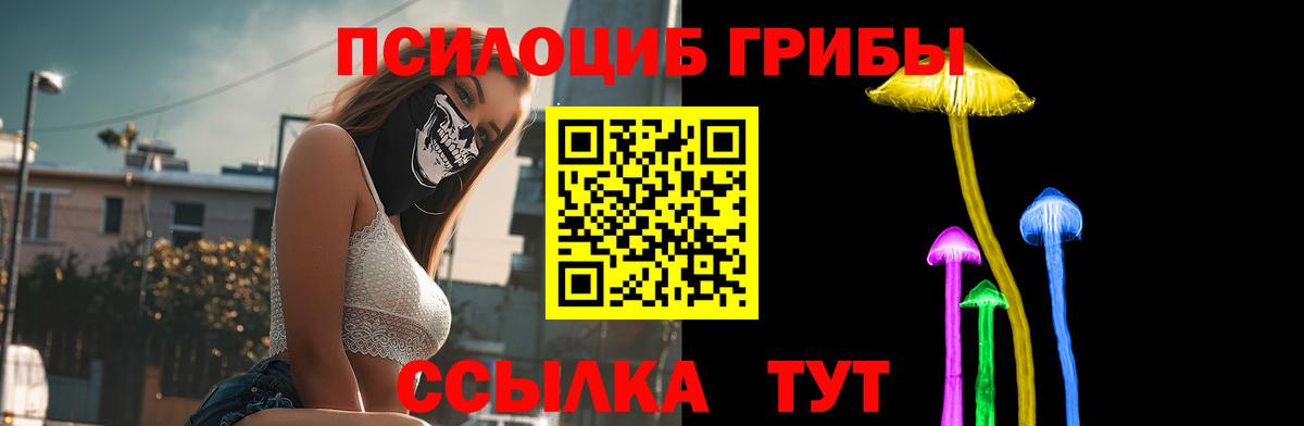 Галлюциногенные грибы GOLDEN TEACHER Сосновоборск